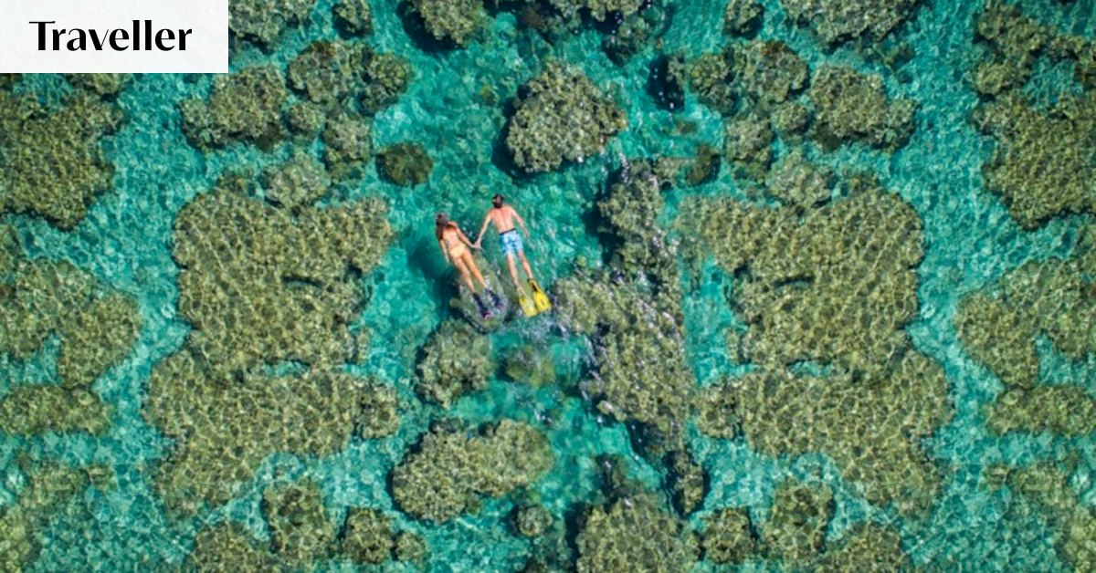 A reef romance