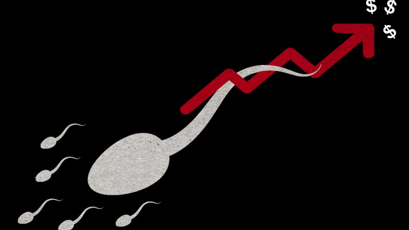Donor sperm shortage and huge price increases put strain on women’s pregnancy plans