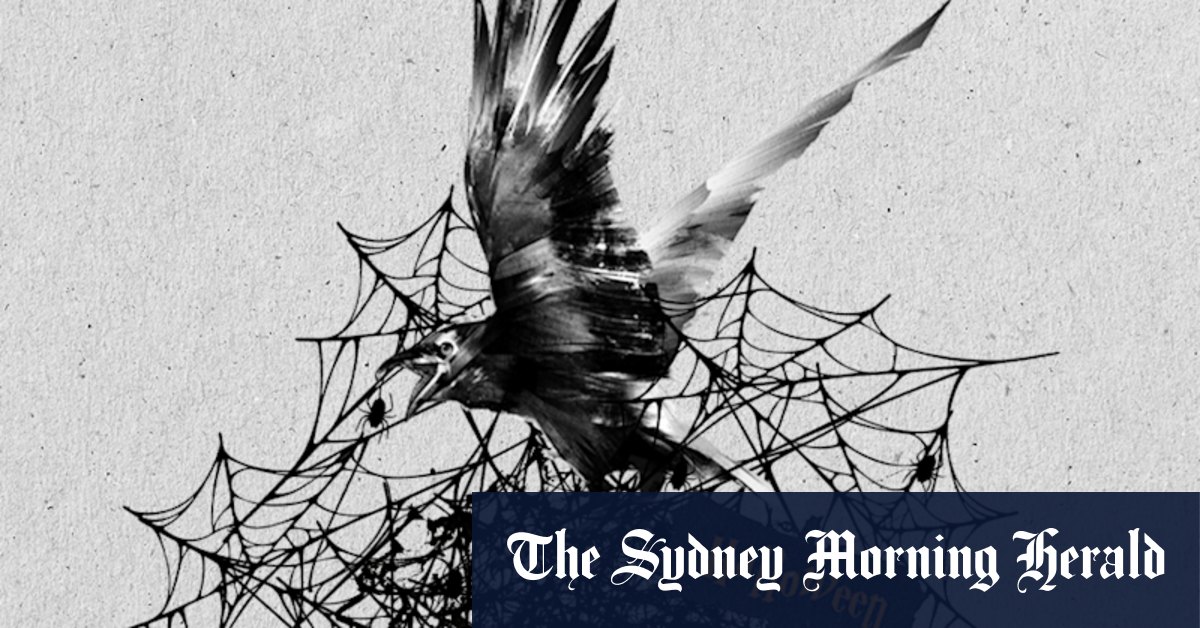 Those sticky Halloween cobwebs are killing our native wildlife