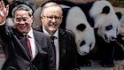 Chinese Premier Li Qiang and Prime Minister Anthony Albanese.