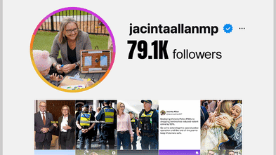 What’s not to like? Allan and Wilson lock horns in Insta fight