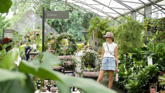 The Brookfield Gardens nursery has bounced back from being flooded in 2022.