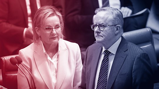 Sussan Ley and Anthony Albanese 