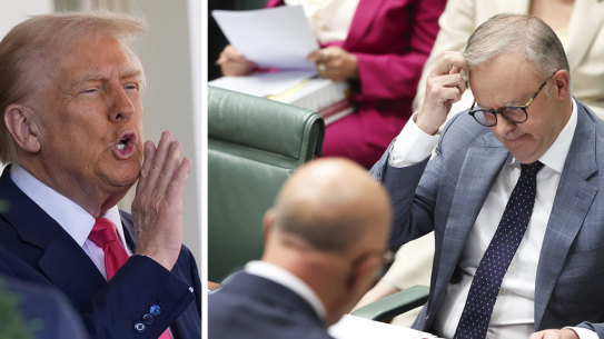 Donald Trump contends with no singular opposition leader, as Prime Minister Anthony Albanese must do with Peter Dutton. America’s democracy could use such a powerful voice.