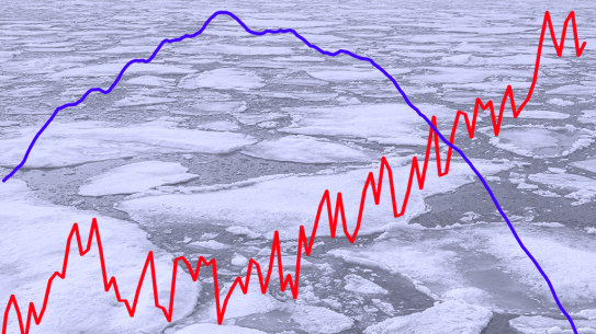 Climate emergency revealed in sea ice extent.