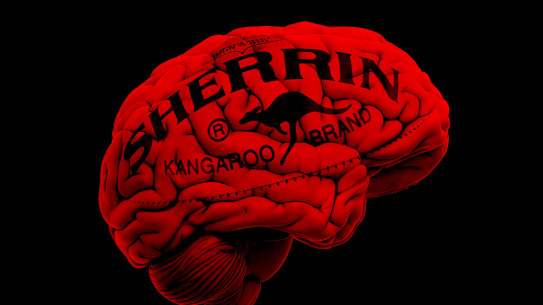 Brain scans for future AFL players are on the league’s agenda.