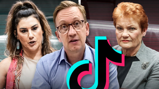 Labor MP Julian Hill and senators Pauline Hanson and Lidia Thorpe are the three most followed federal politicians on TikTok.