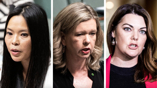 Labor MP Sally Sitou, Liberal MP Bridget Archer and Greens senator Sarah Hanson-Young are co-chairs of a new federal parliamentary group aimed at boosting the ranks of women in public office. 