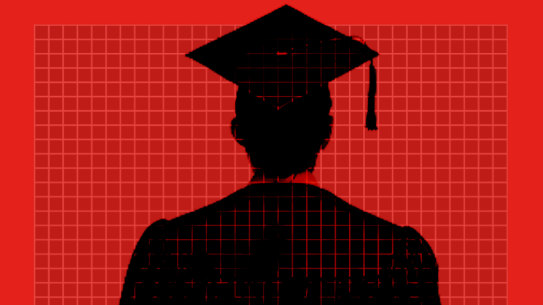 Professions such as architecture, psychology, medicine and physiotherapy require a postgraduate degree to practice.