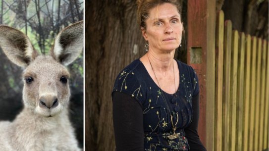 Former WIRES volunteer Tracy Dods has been found guilty of aggravated animal cruelty over a kangaroo in her care.