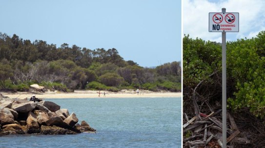 A beach next to Sydney Airport’s main runway has been closed to swimming due to PFAS 