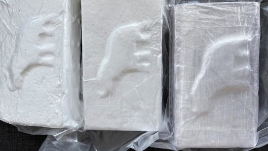 Recent cocaine importations into Australia. Source is supplied.