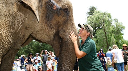 Tricia the elephant never forgets her  birthday, 64 years old, 2021.