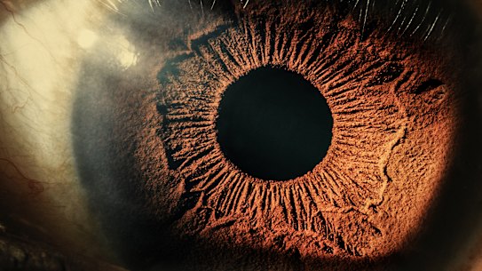 The iris is a muscle, but where does the colour come from?