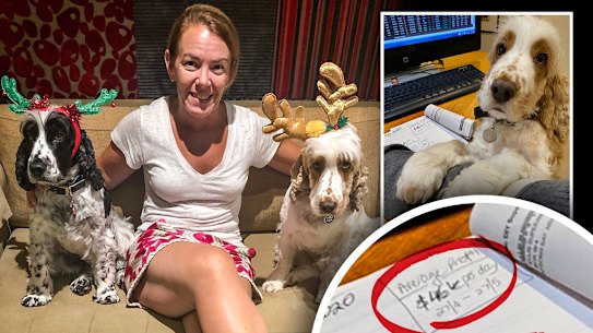 Melissa Caddick and her dogs, inset Melissa Caddick’s dog Peter Pan seated at the fraudster’s desk in front of paperwork saying she was making a $46,000 per day profit.