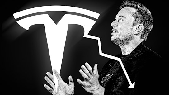 Tesla shares have tumbled in 2024.