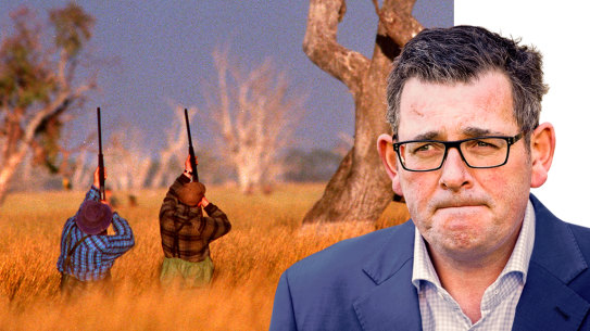 A number of Labor MPs in Premier Daniel Andrews’ Labor caucus would support a ban on duck hunting.