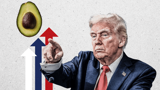 From groceries to cars, Trump’s tariffs are expected to hurt US consumers