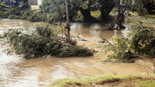 Traralgon GIF for homepage