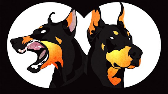 Watching the watchdogs