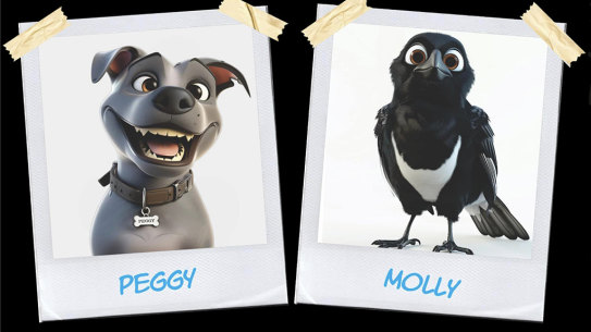 An animated series featuring Peggy and Molly, the Gold Coast staffy and magpie, is in the works.