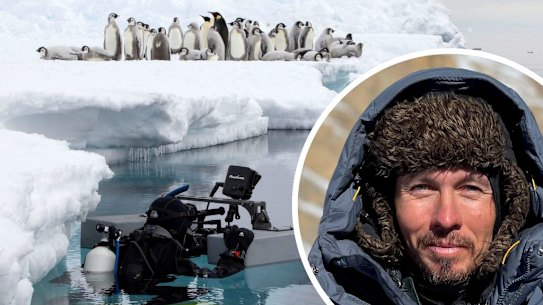Cameraman Alex Vail (inset) floats on the surface of the cold Southern Ocean waiting for the moment a group of Emperor penguin chicks enter the sea for the very first time.
