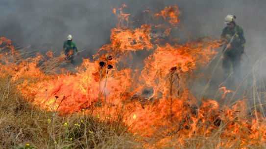 Firefighters conduct burnoffs during the bushfires.