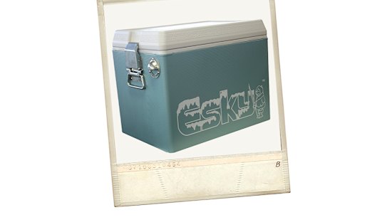 The Pfizer vaccine cold storage will probably be more sophisticated than the traditional esky. 