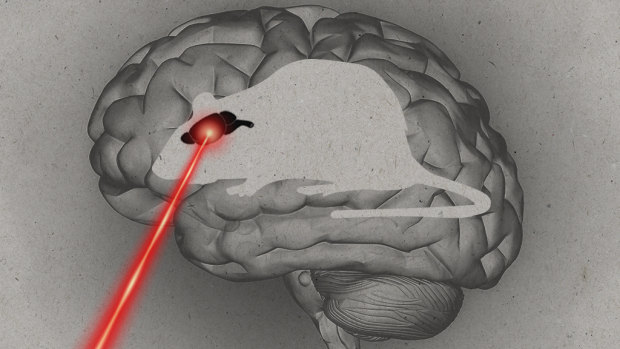 Why aren’t there any good medical treatments for a stroke?