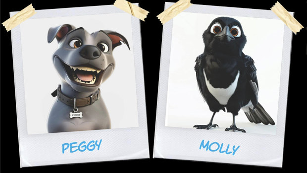 Government’s ‘please explain’ to Gold Coast magpie couple over animated series