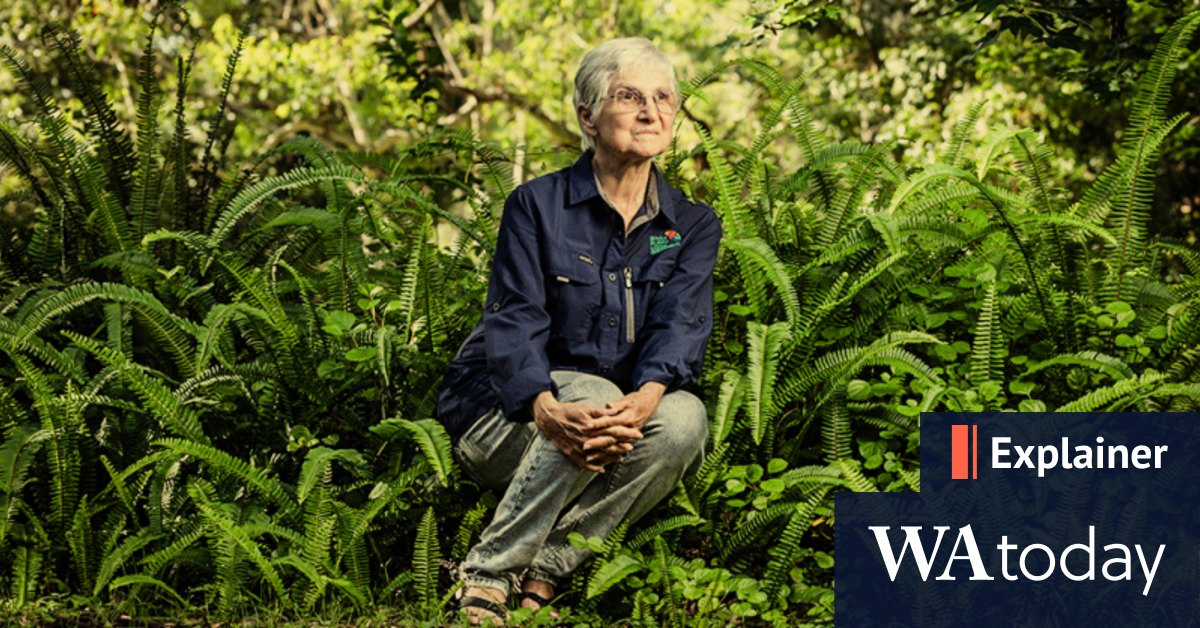 How are missing people rescued and what to do if you're lost? - Vimarsana News