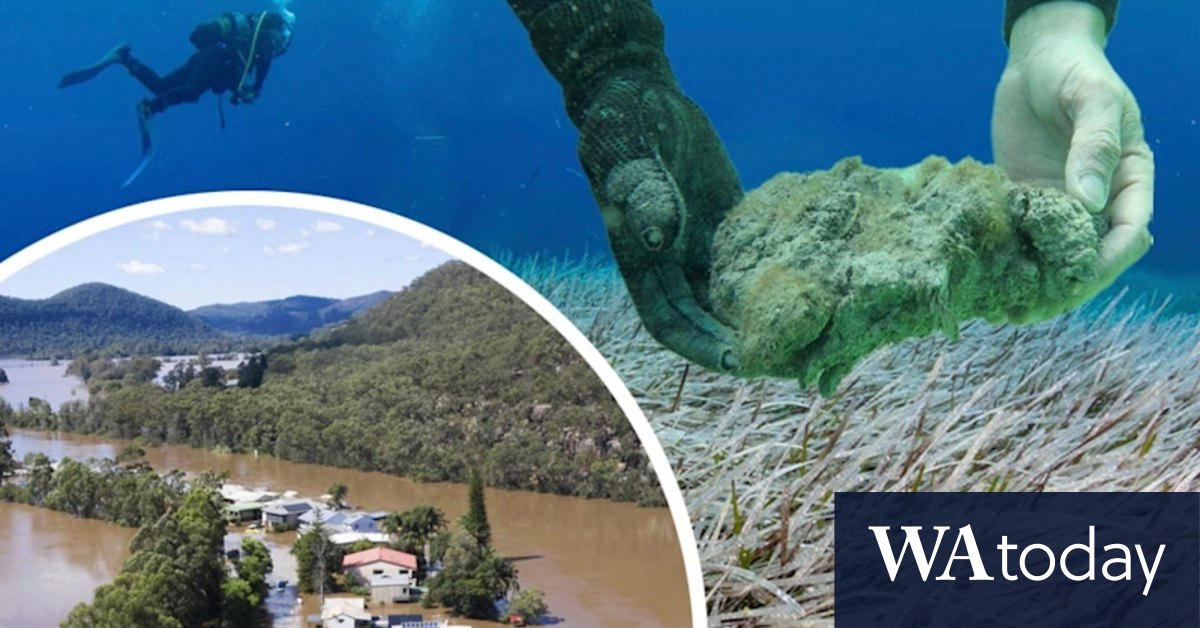 'Black water': The three Australian sites that are ground zero for climate change - Vimarsana News