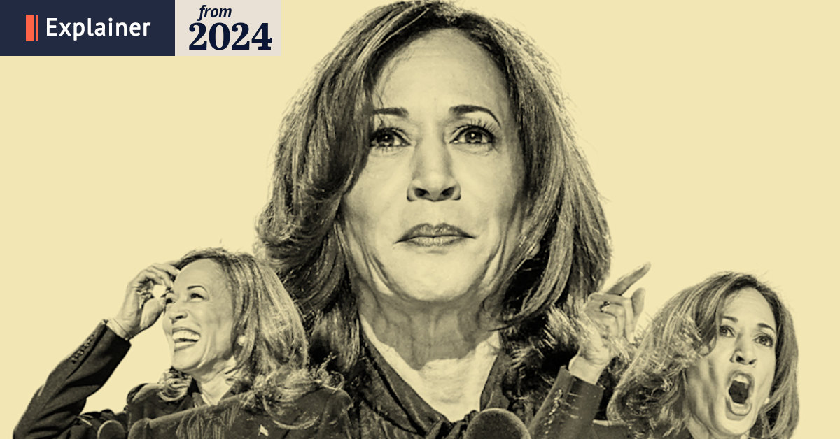 US election 2024: How did Kamala Harris become Democratic Presidential ...