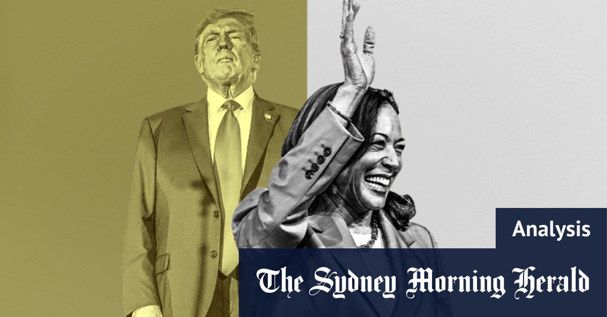 What Joe Biden’s successor must overcome to be US president