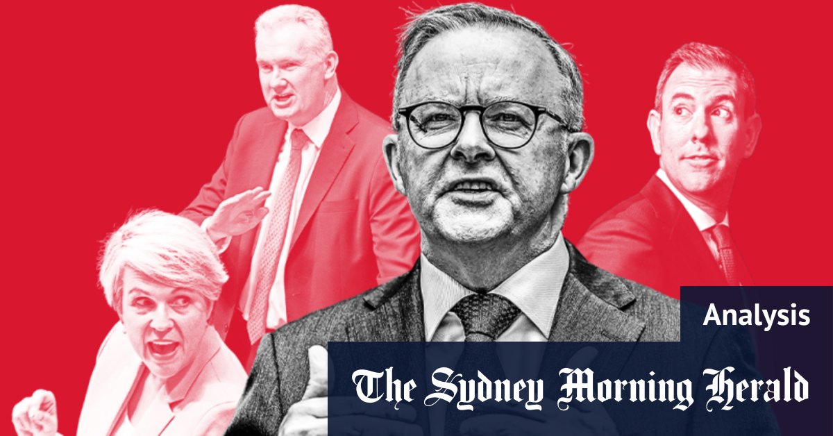 Anthony Albanese succession plan: Contenders for next Labor Party leader - Vimarsana News