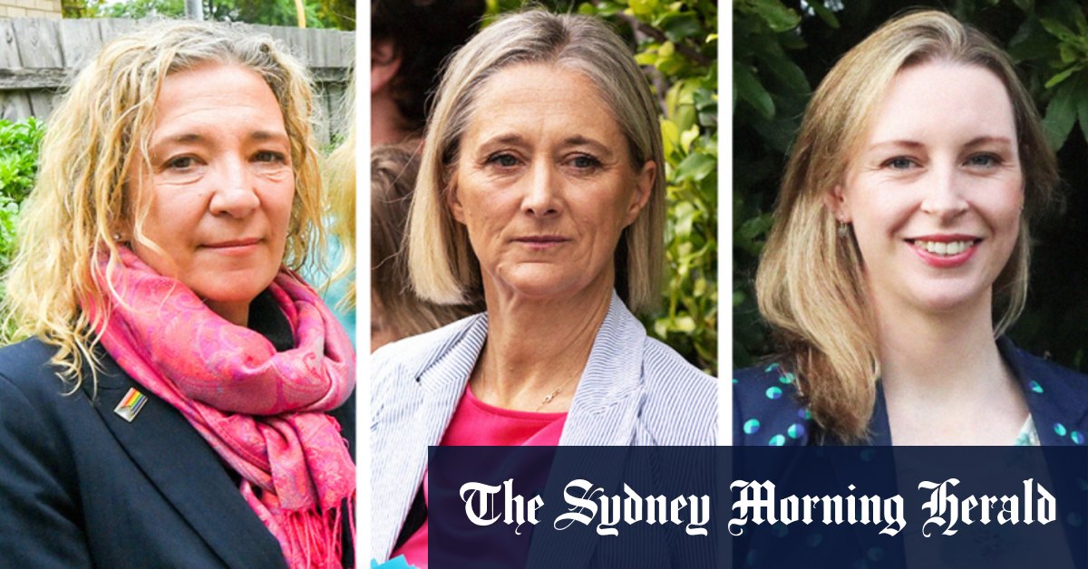 Victorian election results 2022: Teal wave falling short of Spring Street, but wealthy backer hails 'remarkable achievement - Vimarsana News