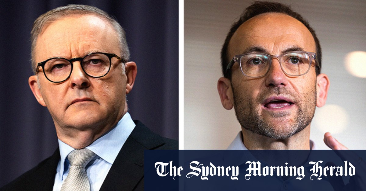 Is Bandt the new opposition leader? Greens step up in Coalition's absence - Vimarsana News