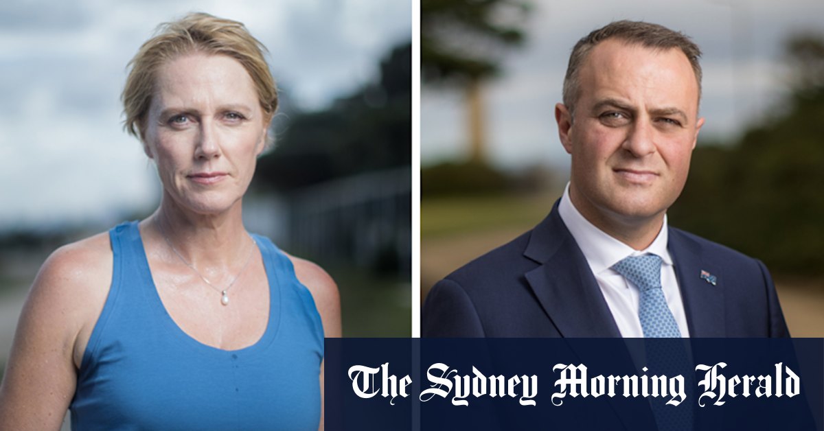 'It's between Tim Wilson and Zoe Daniel': the battle for Goldstein's golden mile - Vimarsana News