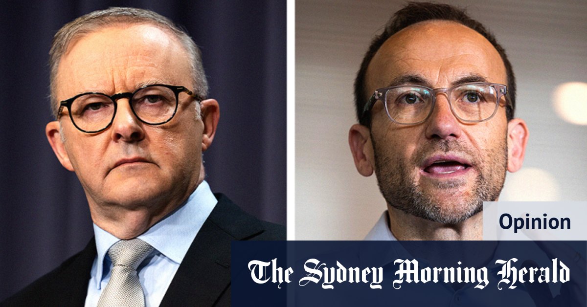 As Dutton flounders, Bandt moonlights as the real opposition leader