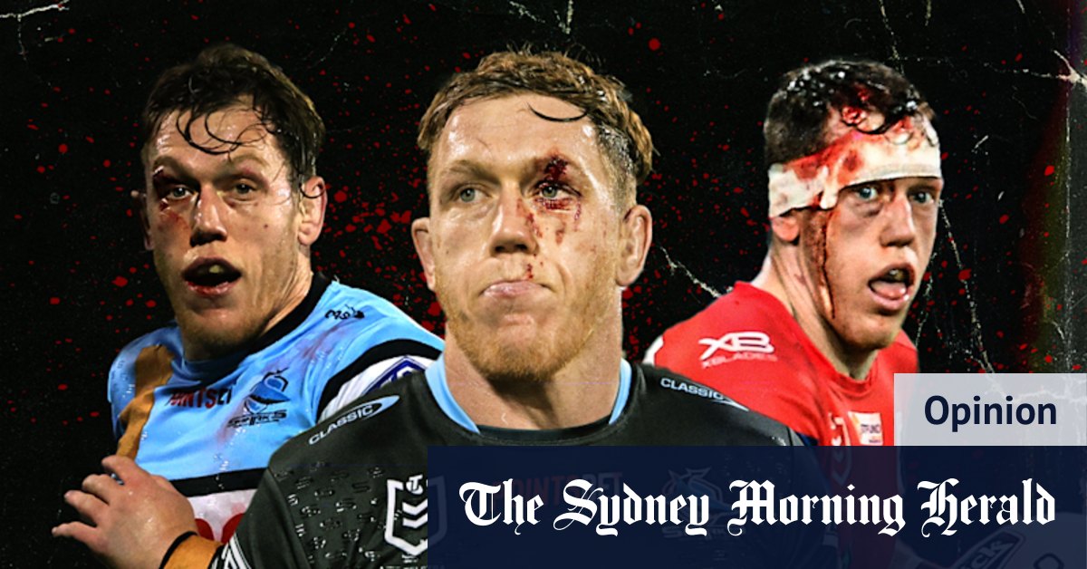 State of Origin 2024: Cameron McInnes is the man NSW Blues coach Michael Maguire needs - Vimarsana News
