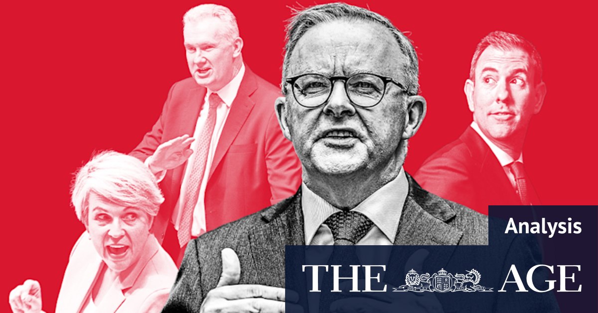 Anthony Albanese succession plan: Contenders for next Labor Party leader - Vimarsana News