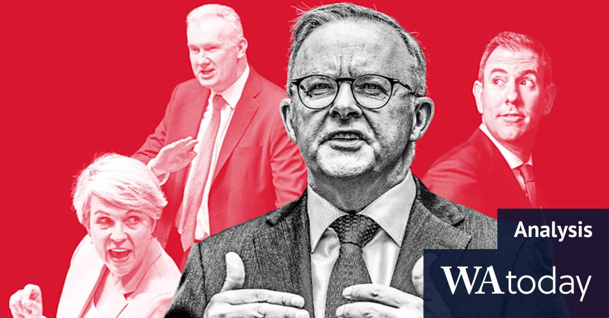Anthony Albanese succession plan: Contenders for next Labor Party leader - Vimarsana News
