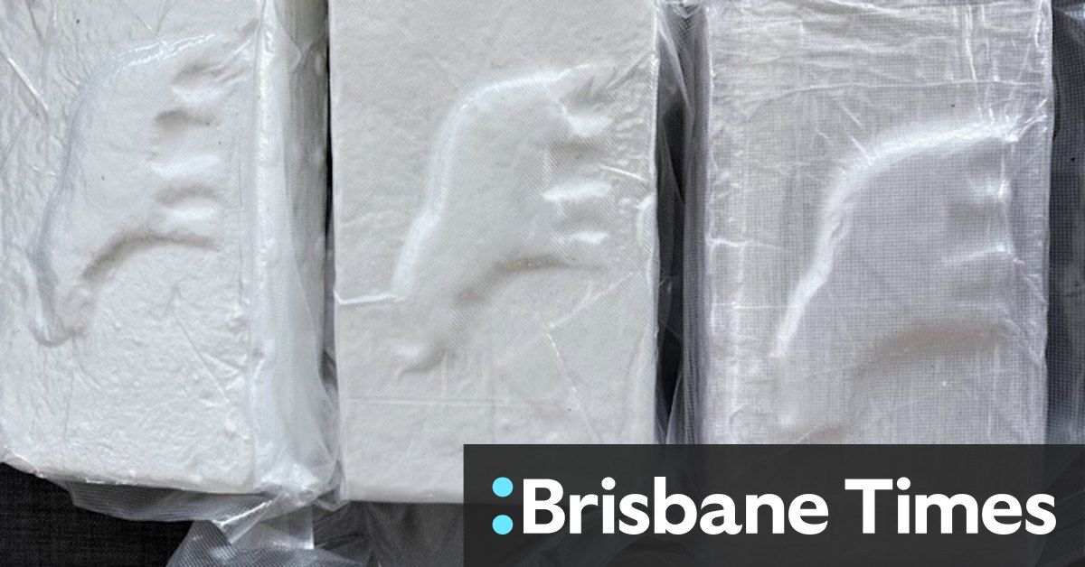 Cocaine imports lead to 100 companies being put on a watchlist - Vimarsana News