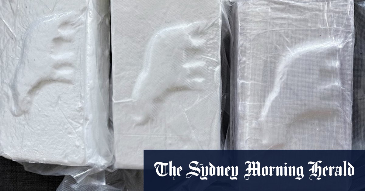 Cocaine imports lead to 100 companies being put on a watchlist - Vimarsana News