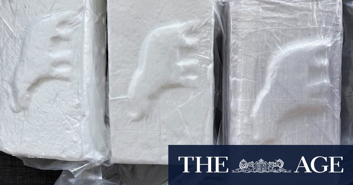 Cocaine imports lead to 100 companies being put on a watchlist - Vimarsana News