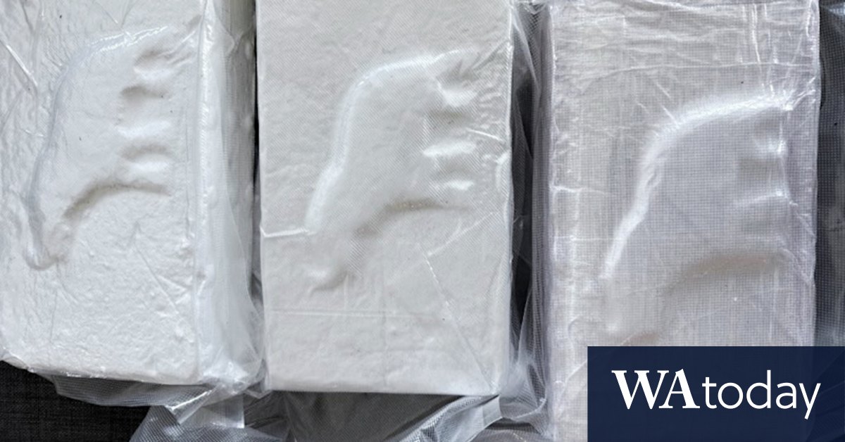 Cocaine imports lead to 100 companies being put on a watchlist - Vimarsana News