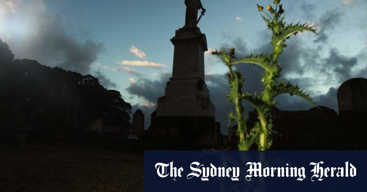 'We can't keep up': Cemetery sector uncertainty is panicking buyers - Vimarsana News