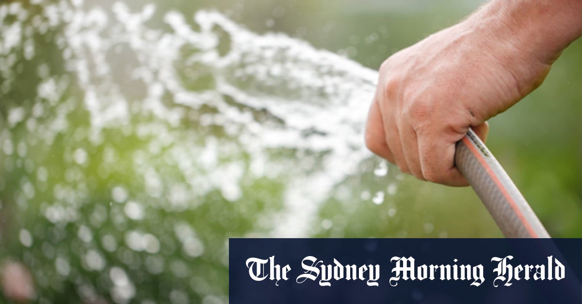 Want to get on top of your garden in 2023? Time for green resolutions - Vimarsana News