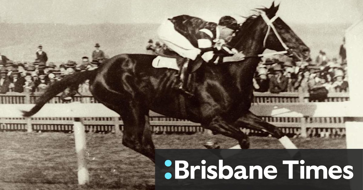 Killing Phar Lap: 'Fake' heart DNA tested amid battle to solve mystery of champion's death - Vimarsana News