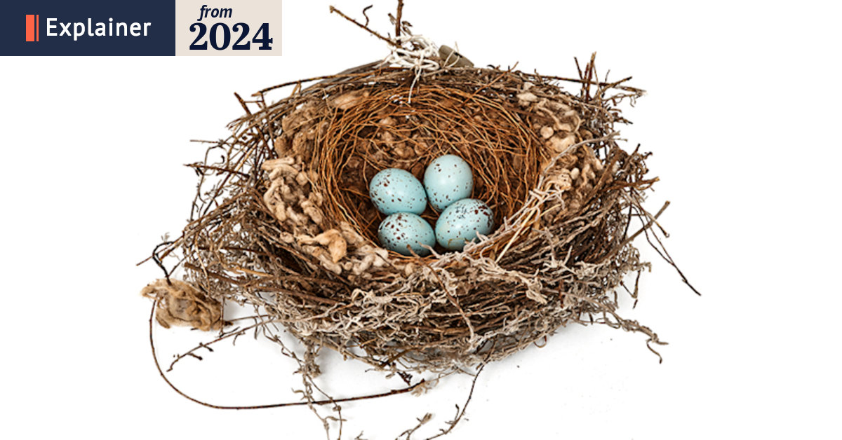 How do birds build their nests?
